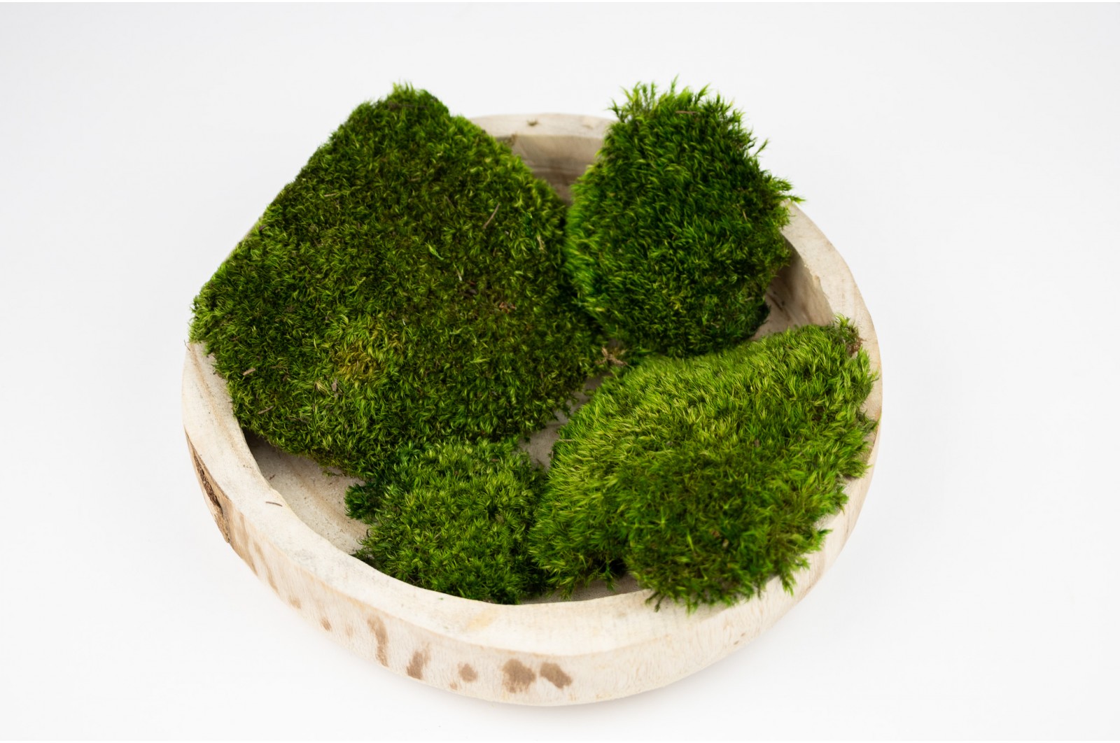 feiner-stabilisierter-provence-moos-b-26