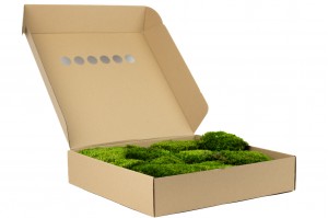 thin-preserved-provence-moss-b-26.