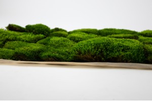 thin-preserved-provence-moss-cn-26.