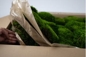 thin-preserved-provence-moss-cn-26.