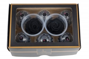 stabilisierte-rosenkopf-s-36.