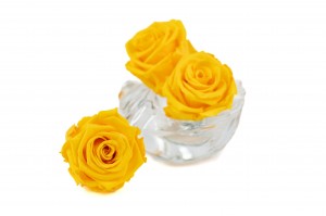tetes-de-roses-stabilisees-m-36.