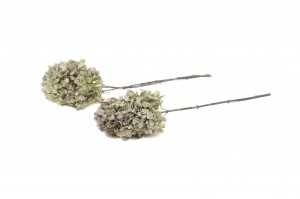 stabilisierte-grandiflora-hortensien-30.