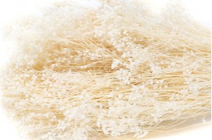 broom-sec-39