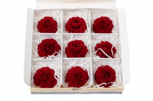 preserved-dahlia-14.