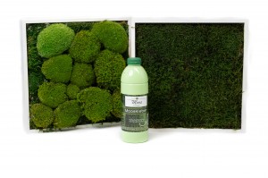 glue-for-preserved-moss.