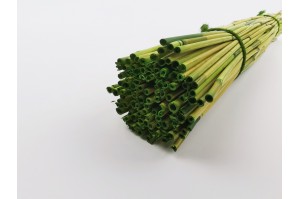 rice-river-sec-vert-clair