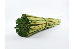 dried-rice-river-light-green.