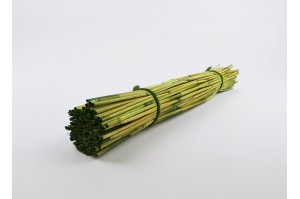 dried-rice-river-light-green.