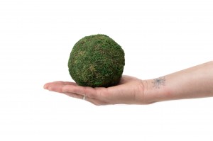 preserved-ball-of-moss-bag-8.