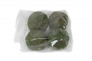 preserved-ball-of-moss-bag-8.