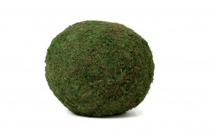 boule-de-mousse-stabilisee-xl-8-.
