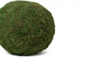 boule-de-mousse-stabilisee-xl-8-.