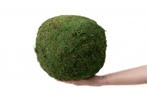 boule-de-mousse-stabilisee-xl-8-.