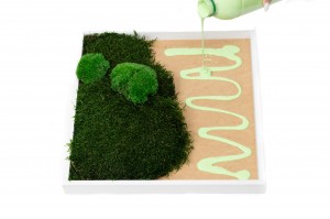 glue-for-preserved-moss.