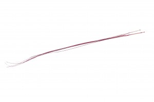 bear-grass-sec-7-500g.