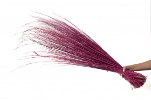 bear-grass-sec-7-500g.