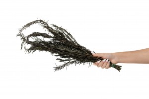 preserved-rosemary-11.