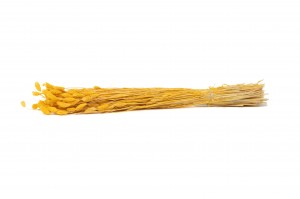trockenes-phalaris-8.