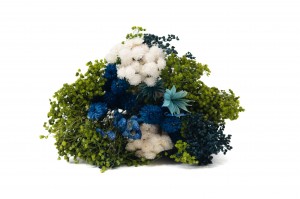 bouquet-de-fleurs-sechees-10.