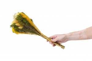bouquet-de-fleurs-sechees-10.