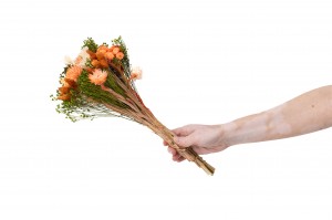 bouquet-de-fleurs-sechees-10.