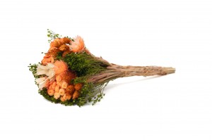 bouquet-de-fleurs-sechees-10.