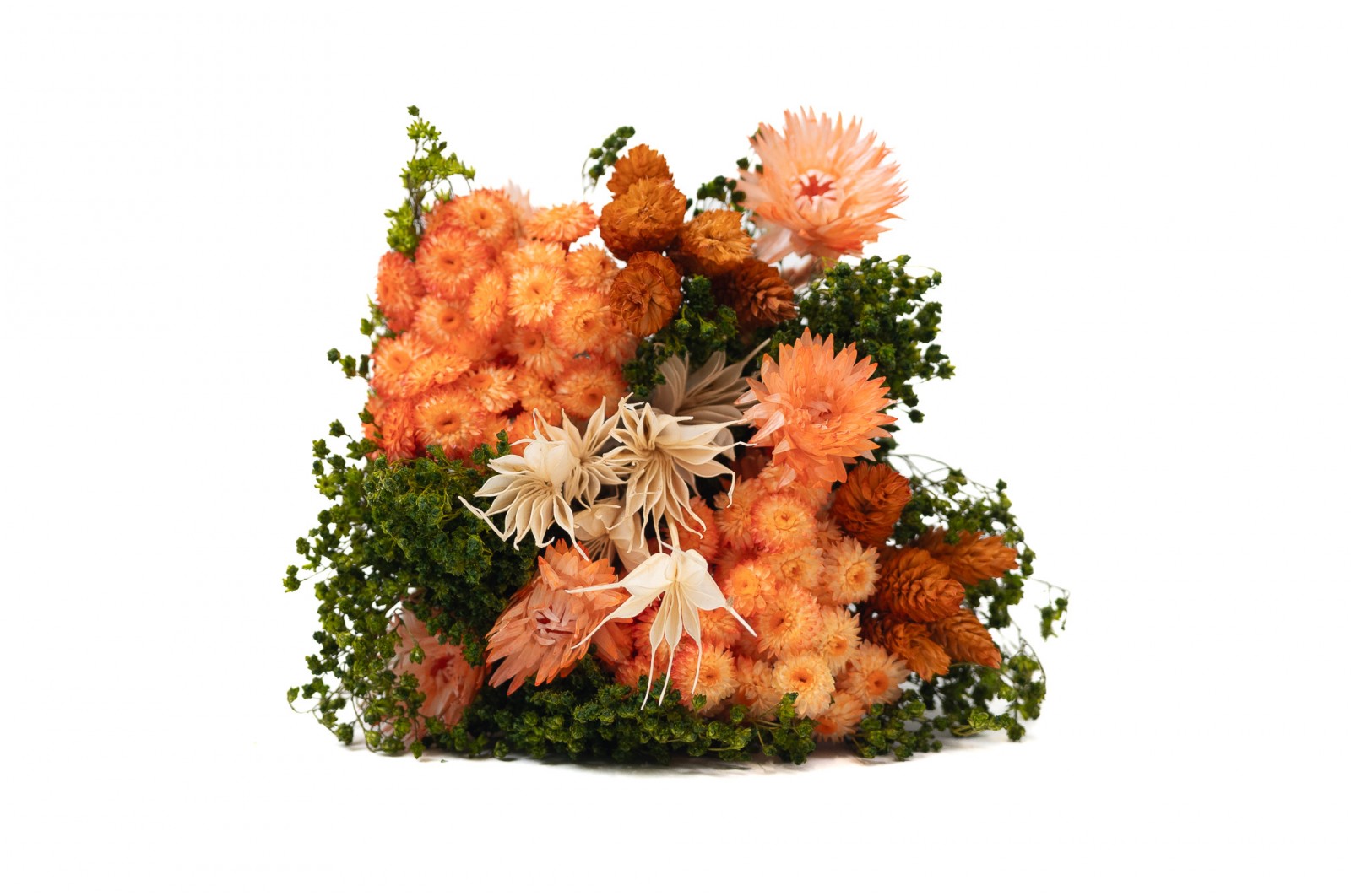 Bouquet de fleurs séchées (10) bouquet-de-fleurs-sechees-10