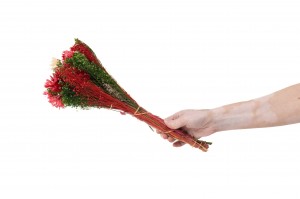 blumenstrauss-trockenblumen-10.
