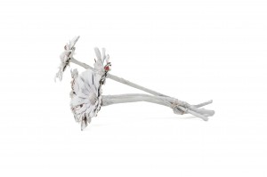 rosette-repens-large-seche-12.
