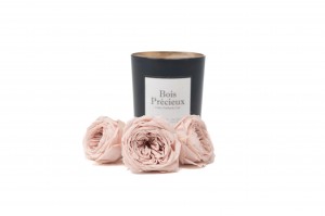 preserved-english-rose-30.