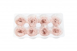 preserved-english-rose-30.