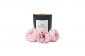 preserved-english-rose-30.