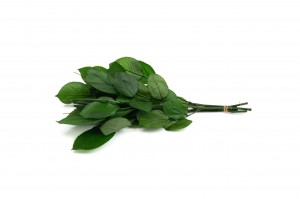 tiges-de-roses-stabilisees-30cm-30.