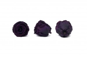 preserved-rose-heads-m-36.