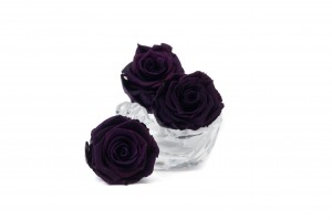 preserved-rose-heads-m-36.