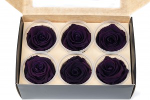 preserved-rose-heads-m-36.
