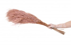 stabilisierte-pteridium-farn-8.