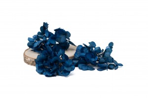 preserved-sprig-hydrangea-14.