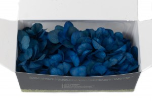 preserved-sprig-hydrangea-14.