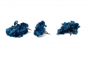 hortensia-stabilise-en-branches-14.