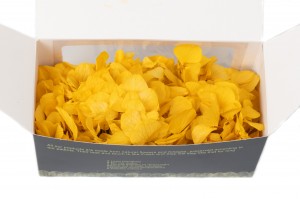 preserved-sprig-hydrangea-14.