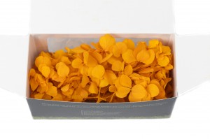 preserved-sprig-hydrangea-14.