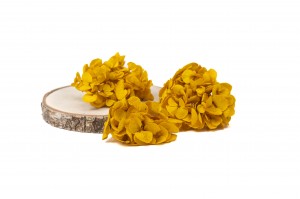 preserved-sprig-hydrangea-14.