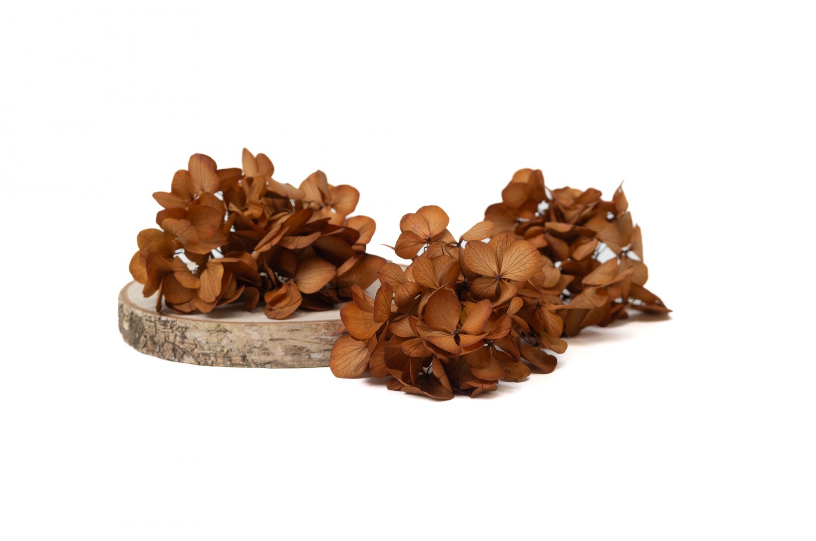 Preserved sprig hydrangea (14) preserved-sprig-hydrangea-14