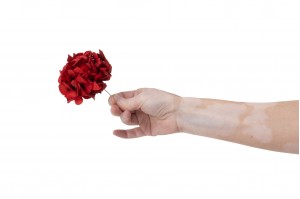 posy-hortensia-stabilise-14.