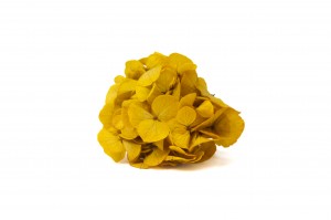 stabilisierte-hortensien-posy-14.