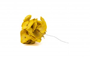 stabilisierte-hortensien-posy-14.