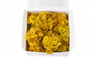 posy-hortensia-stabilise-14.