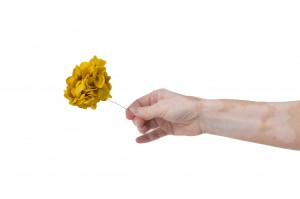 stabilisierte-hortensien-posy-14.